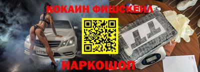 гидра Гатчина