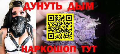 гидра Гатчина