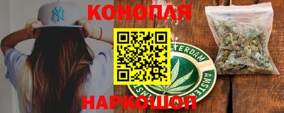 гидра Гатчина