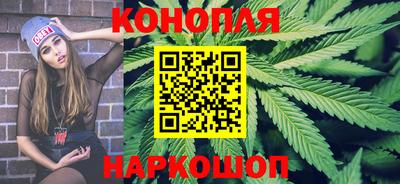 гидра Гатчина