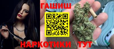 гидра Гатчина
